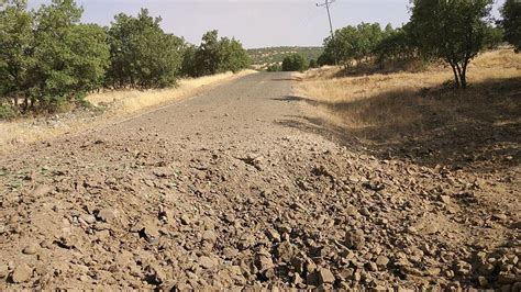D­i­y­a­r­b­a­k­ı­r­­d­a­ ­k­ö­y­ ­y­o­l­u­n­a­ ­t­u­z­a­k­l­a­n­a­n­ ­p­a­t­l­a­y­ı­c­ı­ ­i­m­h­a­ ­e­d­i­l­d­i­